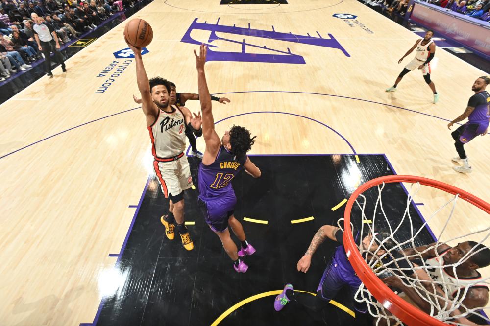 职业发展的 职业发展的